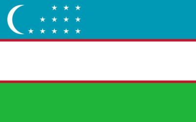 Uzbekistan nylon flag