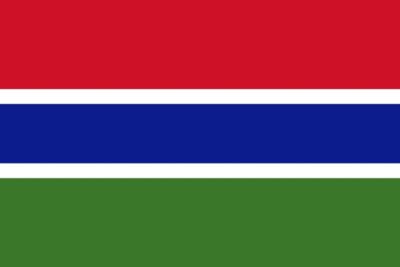 Gambia nylon flag