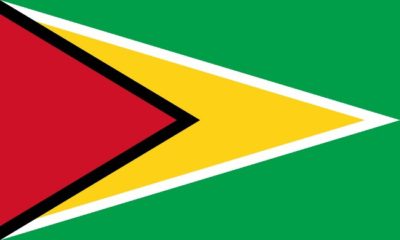 Guyana nylon flag