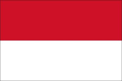 flag of Indonesia