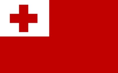 Tonga nylon flag