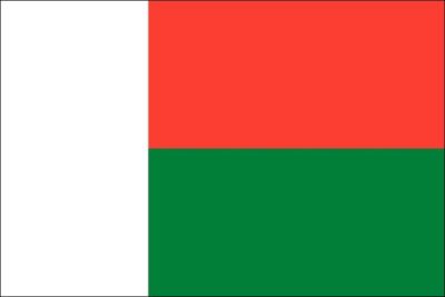 Madagascar nylon flag