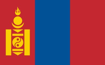 Mongolia nylon flag