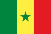 Senegal nylon flag