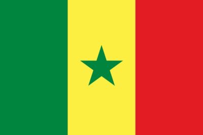 Senegal nylon flag