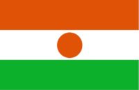 Niger nylon flag