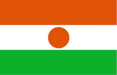 Niger nylon flag