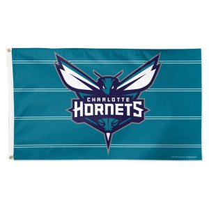 Charlotte hornets