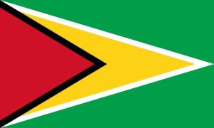 Guyana flag