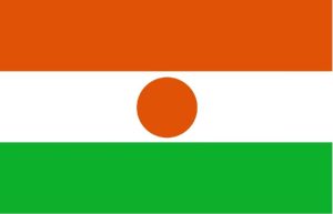 Niger flag