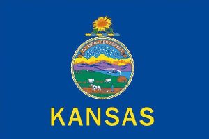 Kansas state flag 3x5 nylon with sunflower and state seal