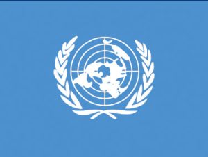 United Nations-4x6'