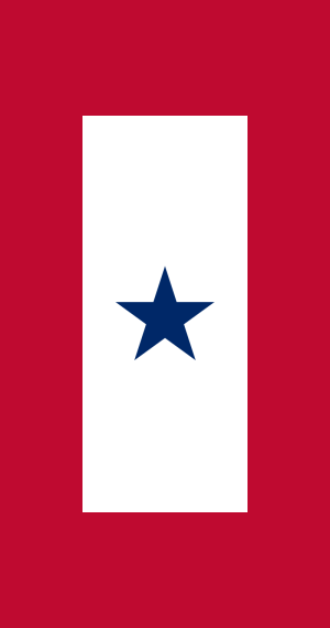 Blue Star Service Flags